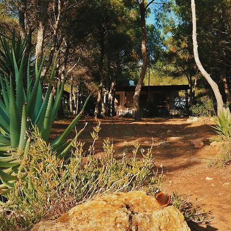 بورتو بينو Villa Buonumore المظهر الخارجي الصورة