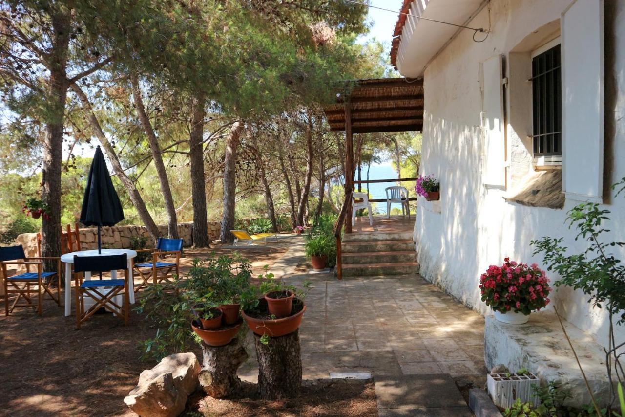 بورتو بينو Villa Buonumore المظهر الخارجي الصورة