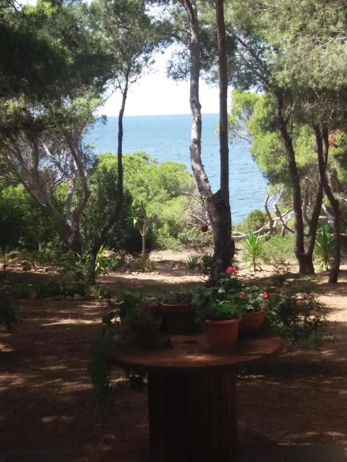 بورتو بينو Villa Buonumore المظهر الخارجي الصورة