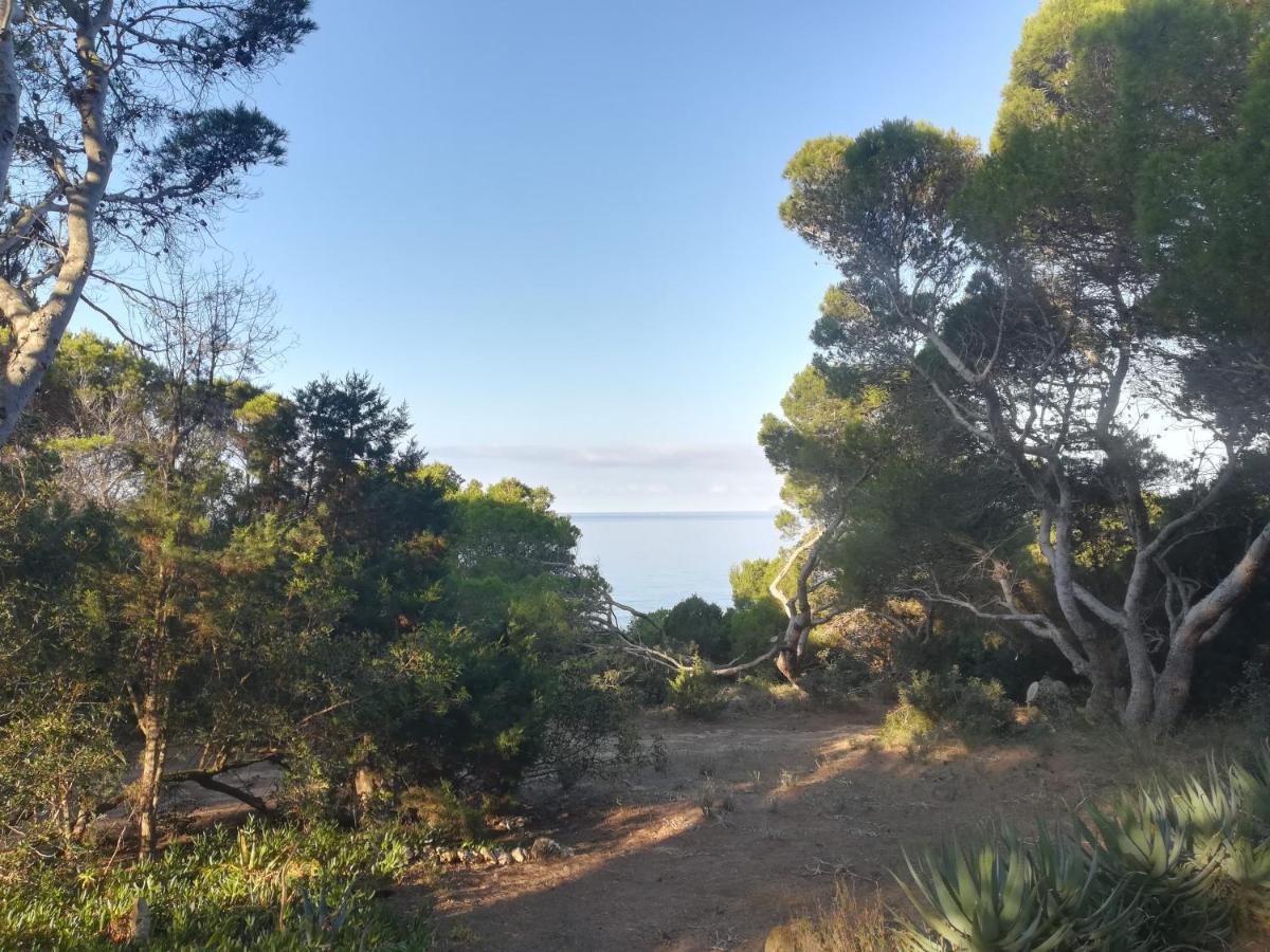 بورتو بينو Villa Buonumore المظهر الخارجي الصورة