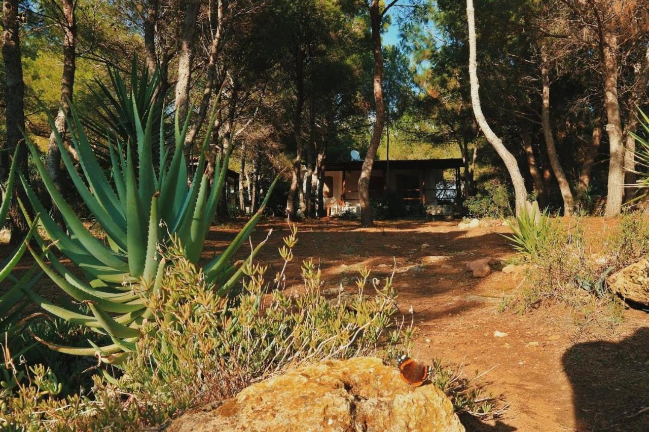 بورتو بينو Villa Buonumore المظهر الخارجي الصورة